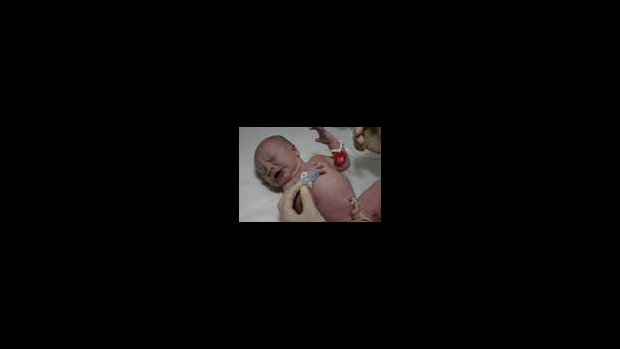 Krevní oběh novorozence po porodu - obrázek