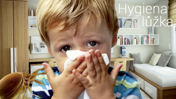 Alergie a hygiena lůžka - obrázek